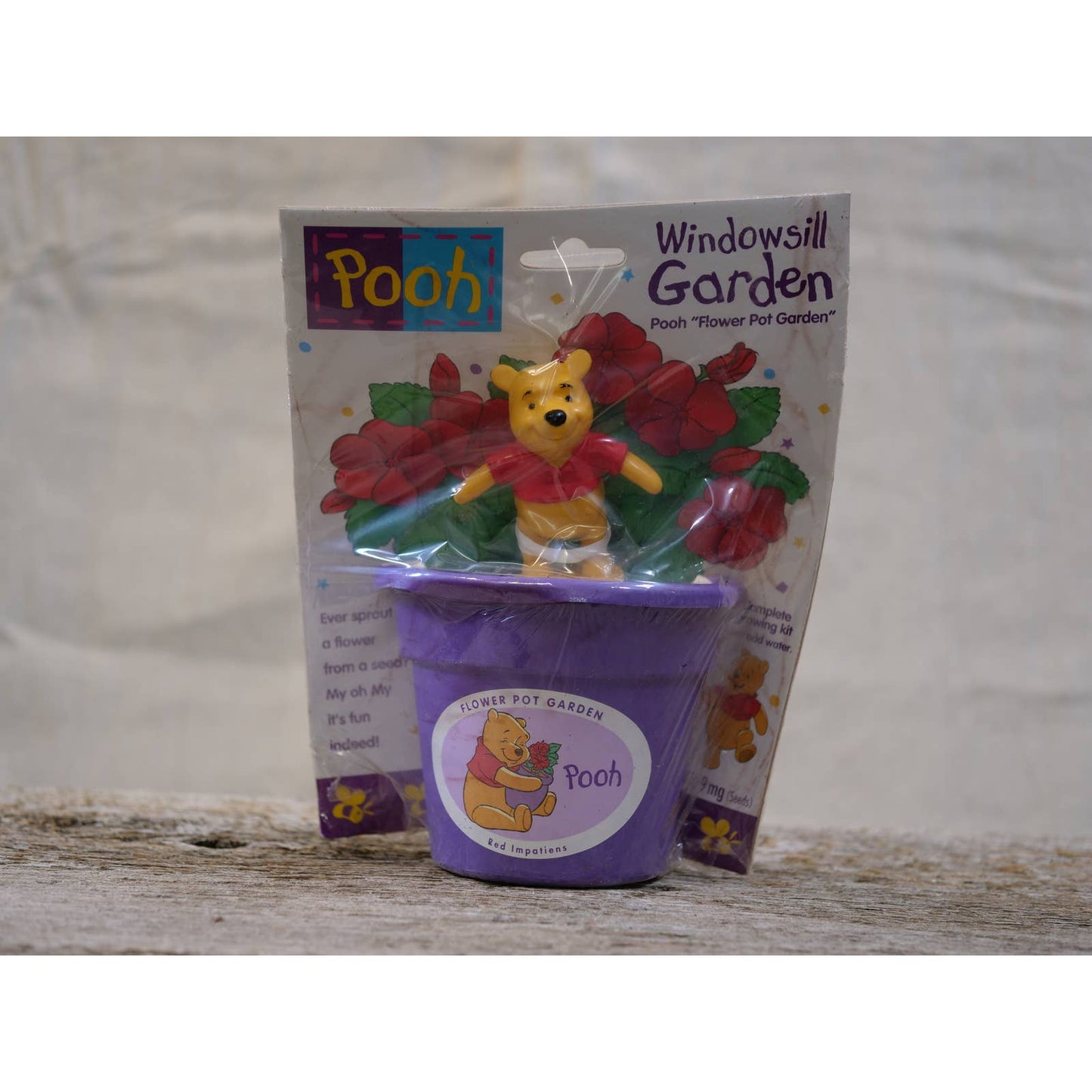 Pooh in a Bucket!!!- Flower Pot Garden Growing Kit - Vintage - Original Package